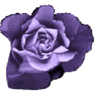 Erikas icon