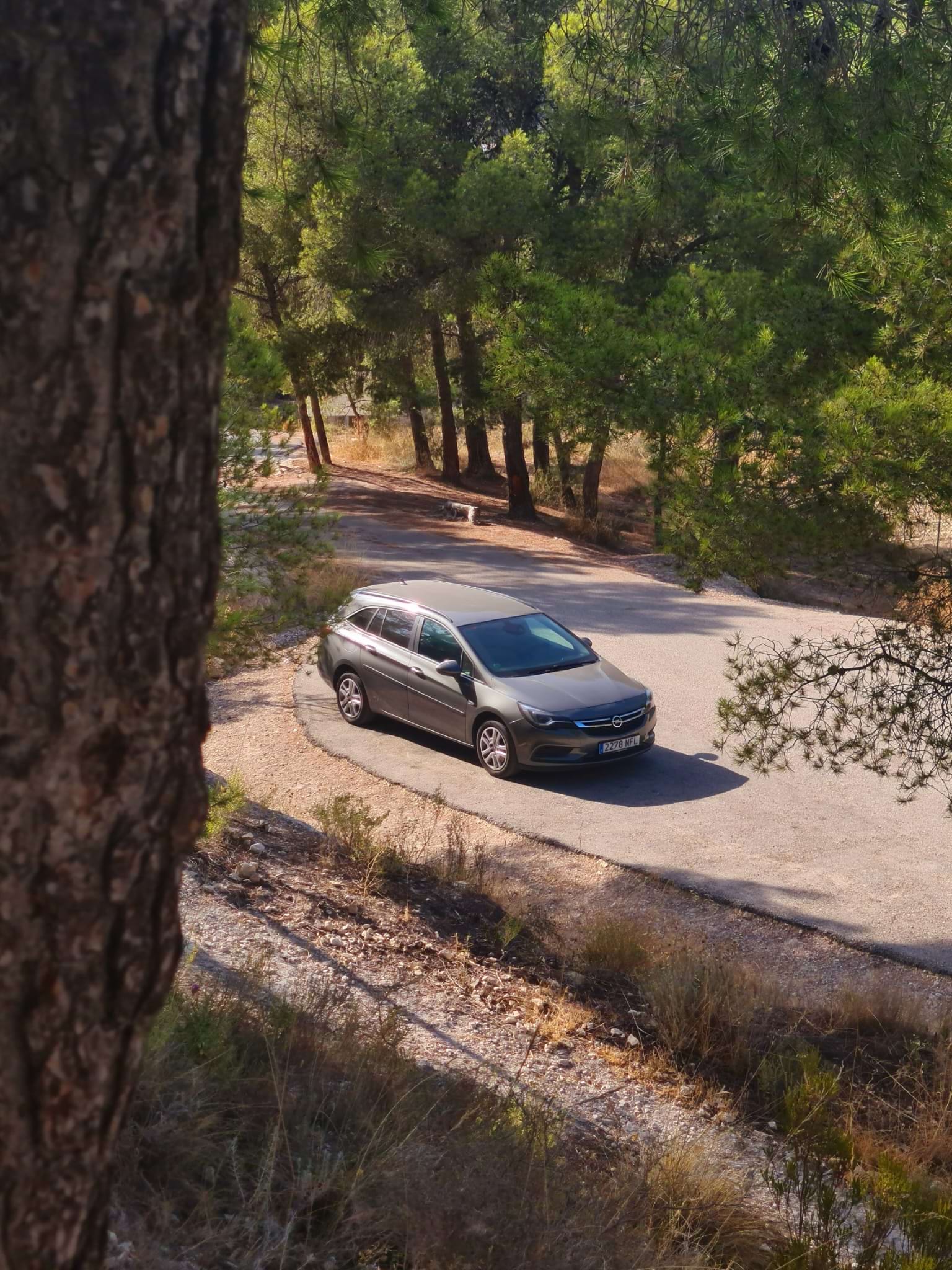 opel